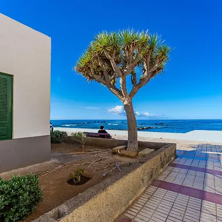 Atlantic View Premium Oceanfront Penthouse *